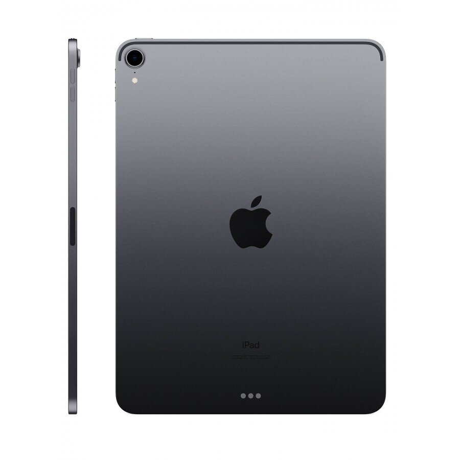 iPad Pro 11" 1.gen 256GB WiFi Space Gray (uuendatud, seisukord A) цена и информация | Tahvelarvutid | kaup24.ee