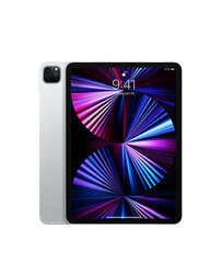 iPad Pro 11" 2.gen 512GB WiFi + Cellular Silver (обновленный, состояние A) цена и информация | Планшеты | kaup24.ee