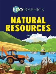 Ecographics: Natural Resources цена и информация | Книги для подростков и молодежи | kaup24.ee