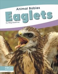 Animal Babies: Eaglets цена и информация | Книги для подростков и молодежи | kaup24.ee