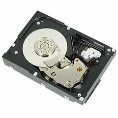 Kietasis diskas Dell 400-AUST 2 TB 3.5" цена и информация | Внутренние жёсткие диски (HDD, SSD, Hybrid) | kaup24.ee