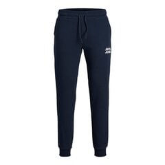 Meeste dressipüksid JPSTGORDON 12178421 Navy Blaze r hind ja info | Jack&Jones Jalanõud, riided ja aksessuaarid | kaup24.ee