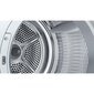 Bosch WTH85VP6SN цена и информация | Pesukuivatid | kaup24.ee