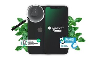 Мобильный телефон Iphone 11, 128 ГБ, черный RND-P141128 цена и информация | Мобильные телефоны | kaup24.ee