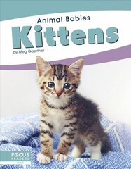 Animal Babies: Kittens цена и информация | Книги для подростков и молодежи | kaup24.ee