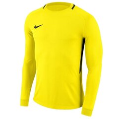 Spordisärk Goalkeeper jersey Nike Dry Park III LS Junior hind ja info | Poiste kampsunid, vestid ja jakid | kaup24.ee