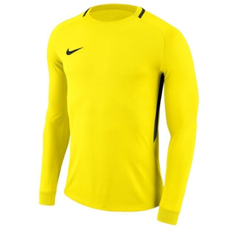 Spordisärk Goalkeeper jersey Nike Dry Park III LS Junior цена и информация | Poiste kampsunid, vestid ja jakid | kaup24.ee