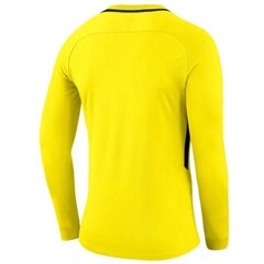 Spordisärk Goalkeeper jersey Nike Dry Park III LS Junior hind ja info | Poiste kampsunid, vestid ja jakid | kaup24.ee