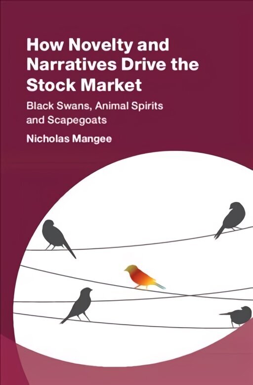 How Novelty and Narratives Drive the Stock Market: Black Swans, Animal Spirits and Scapegoats hind ja info | Majandusalased raamatud | kaup24.ee