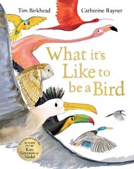 What it's Like to be a Bird hind ja info | Noortekirjandus | kaup24.ee