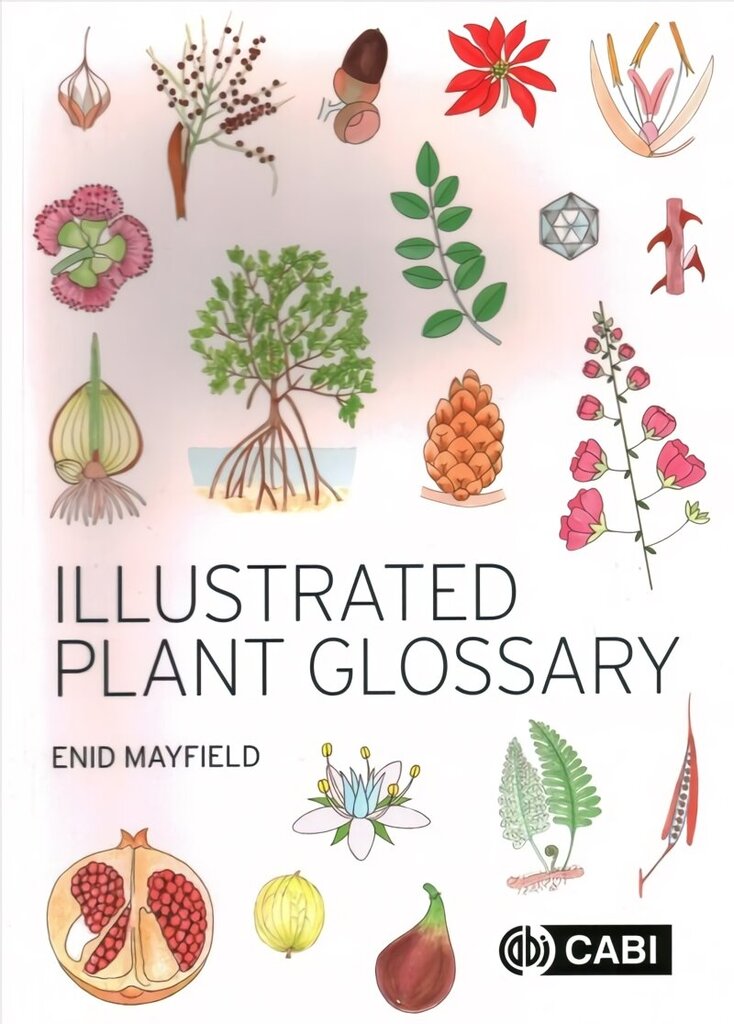 Illustrated Plant Glossary hind ja info | Majandusalased raamatud | kaup24.ee