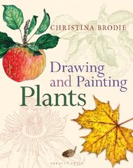 Drawing and Painting Plants цена и информация | Книги об искусстве | kaup24.ee