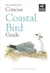 Concise Coastal Bird Guide цена и информация | Книги о питании и здоровом образе жизни | kaup24.ee