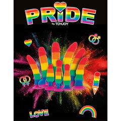 PRIDE - LGBT-FLAG tapp CHEEKY BOYTOY 13,5 CM hind ja info | Anaallelud | kaup24.ee