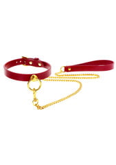O-Ring Collar and Chain Leash цена и информация | БДСМ и фетиш | kaup24.ee