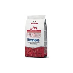 Kuivtoit koertele Monge Dry Dog Mini Starter kanaga 1,5kg hind ja info | Kuivtoit koertele | kaup24.ee