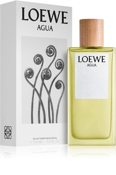 Tualettvesi Loewe Agua EDT naistele/meestele 75 ml hind ja info | Naiste parfüümid | kaup24.ee