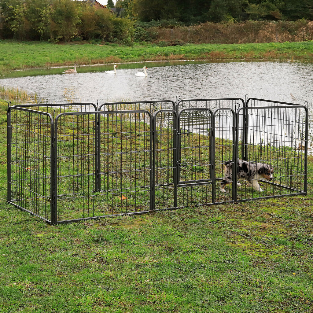 Lionto kaitseaed, kõrgus 100 cm hind ja info | Dresseerimise vahendid koertele | kaup24.ee