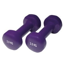 Neopreenist fitness hantlid Yate 2 tk. x 2,5 kg цена и информация | Гантели, штанги, гири | kaup24.ee