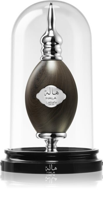 Parfüümvesi Lattafa Pride Hala EDP meestele 100 ml hind ja info | Meeste parfüümid | kaup24.ee