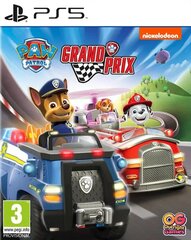 Paw Patrol: Grand Prix (PlayStation 5 game) hind ja info | Arvutimängud, konsoolimängud | kaup24.ee