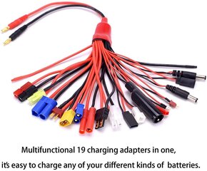 19-в-1 Banana Plug Rc Lipo Charger Adapter Cable цена и информация | Смарттехника и аксессуары | kaup24.ee