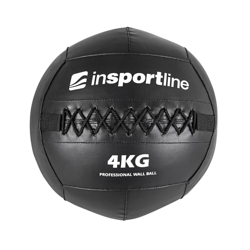 Raskuspall inSPORTline Walbal SE 4kg hind ja info | Topispallid | kaup24.ee