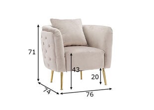 Кресло A2A Glam, серый/золотой цвет цена и информация | Кресла | kaup24.ee