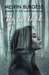 Lost Witch цена и информация | Книги для подростков и молодежи | kaup24.ee