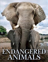 Endangered Animals цена и информация | Книги о питании и здоровом образе жизни | kaup24.ee