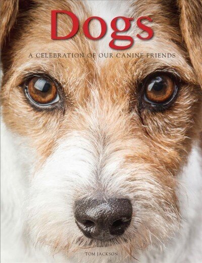 Dogs: A Celebration of our Canine Friends hind ja info | Tervislik eluviis ja toitumine | kaup24.ee