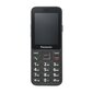 Panasonic KX-TU250EXB Black цена и информация | Telefonid | kaup24.ee