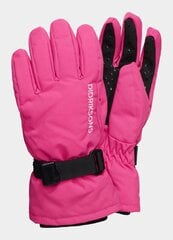 Kindad Didriksons Biggles Gloves roosa hind ja info | Laste talveriided | kaup24.ee