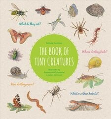 Book of Tiny Creatures цена и информация | Книги для подростков и молодежи | kaup24.ee