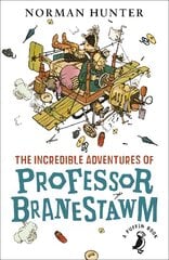 Incredible Adventures of Professor Branestawm hind ja info | Noortekirjandus | kaup24.ee