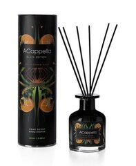 Kodulõhn pulkadega Black Edition Vetiver & Cedarwood 100 ml. hind ja info | Aromika Mööbel ja sisustus | kaup24.ee