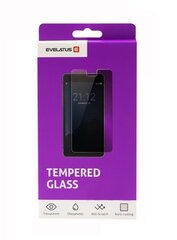Защитное стекло Evelatus для Apple iPhone 6 Plus / 6s Plus цена и информация | Защитные пленки для телефонов | kaup24.ee