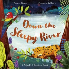 Down the Sleepy River: A Mindful Bedtime Book цена и информация | Книги для малышей | kaup24.ee