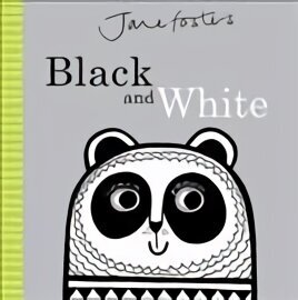 Jane Foster's Black and White: Cased Board Book hind ja info | Väikelaste raamatud | kaup24.ee