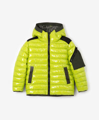 Демисезонная куртка Gulliver для мальчиков, цвет салатовый цена и информация | Зимняя одежда для детей | kaup24.ee