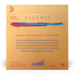 Струны для скрипки D'addario Ascente Violin 1/2 Medium A310 1/2M цена и информация | Принадлежности для музыкальных инструментов | kaup24.ee