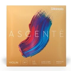 Viiulikeeled D'addario Ascente Violin 1/2 Medium A310 1/2M hind ja info | Muusikariistade tarvikud | kaup24.ee