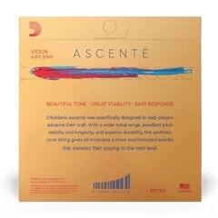 Струны для скрипки D'addario Ascente Violin 3/4 Medium A310 3/4M цена и информация | Принадлежности для музыкальных инструментов | kaup24.ee