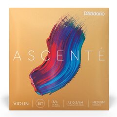 Струны для скрипки D'addario Ascente Violin 3/4 Medium A310 3/4M цена и информация | Принадлежности для музыкальных инструментов | kaup24.ee