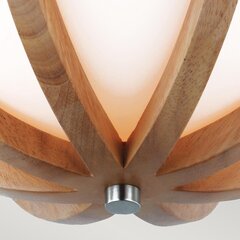 Laevalgusti Elstead Lighting Allier FE-ALLIER-F-LW цена и информация | Потолочные светильники | kaup24.ee