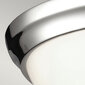 Laevalgusti Elstead Lighting Parkman FE-PARKMAN-F-PN цена и информация | Laelambid | kaup24.ee