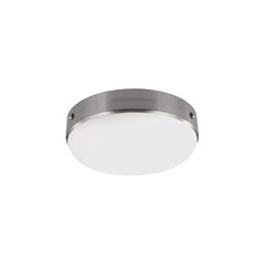 Потолочный светильник Elstead Lighting Cadence FE-CADENCE-F-BS цена и информация | Потолочные светильники | kaup24.ee