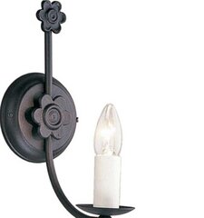 Seinavalgusti Elstead Lighting Belfry BY1-BLACK hind ja info | Seinavalgustid | kaup24.ee