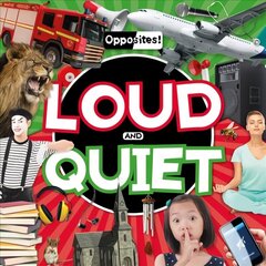 Loud and Quiet hind ja info | Väikelaste raamatud | kaup24.ee