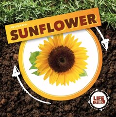 Life Cycle of a Sunflower hind ja info | Noortekirjandus | kaup24.ee